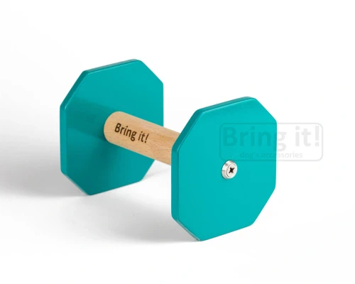 light_turkusowy (1).webp