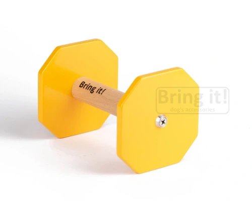 light_zolty (1).webp