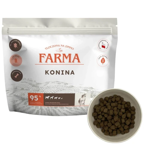 Tekst-akapitu-2025-11-27T131508.916 (1).webp