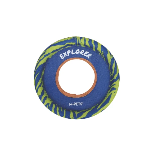 frisbee_10.webp
