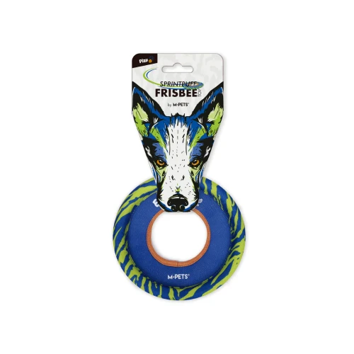 frisbee_9.webp