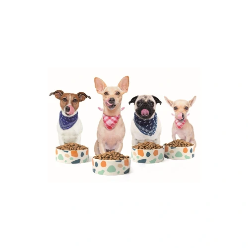 miska-ceramiczna-dla-psa-16x6-cm (1).webp