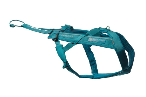 freemotion_harness_5_0_teal_2.webp