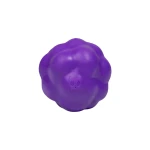 Zee Dog Piłka House of 3D