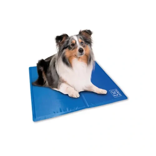 Untitled_design_32_90725417-15f4-44ef-9b5d-a15af9f1e7ab (1) (1).webp