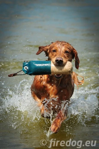 dsc_6921-33598 (1).webp