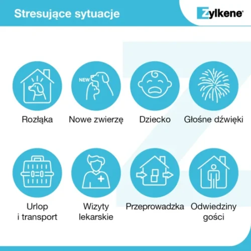 Zylkene_stresujace_sytuacje-png-550x550.webp