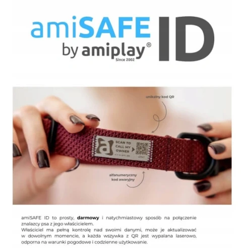 ami safe (1).webp