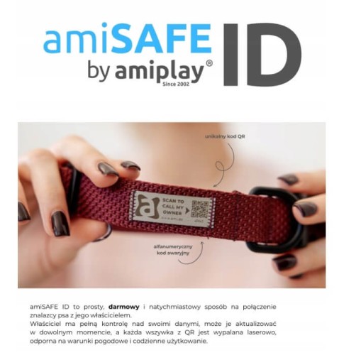 ami safe (1).jpg