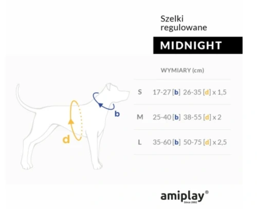 mid amiplay rozm.webp