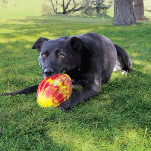 8cd132d3-f065-4a8b-a930-1b181885ceac_medium__52194 (1).webp