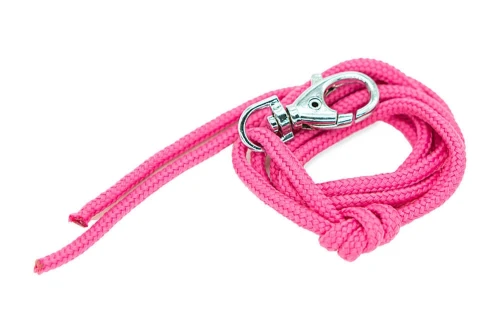 firedog_lanyard_cyclamen_pink-47728 (1).webp