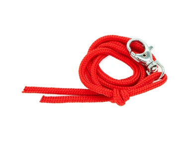 firedog_lanyard_royal_red-47733.webp