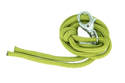firedog_lanyard_salvia_green-47749.webp