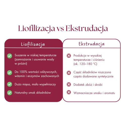 pies_karma_kaczka_dynia.webp