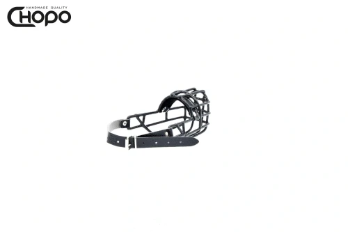 szpic.webp