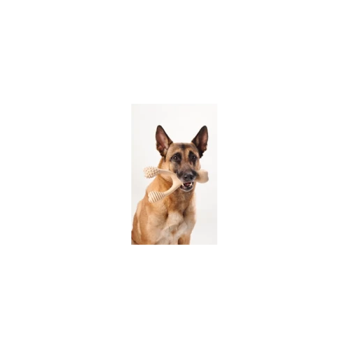 betterbone-kosc-do-gryzienia-large-medium-classic (1).webp