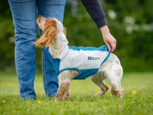 PR1043BI3949_JKT_50060_Cooling_pull_on_vest_IMD.webp