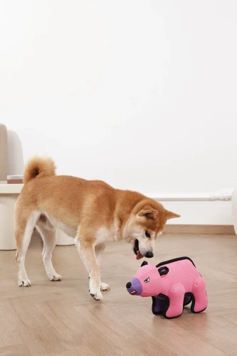02.M-PETS_10673399_MEGA_Dogtoy_Polarbear_Lifestyle_Indoor_Dog_VER_CMYK.webp