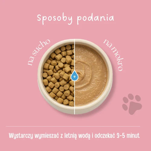 27.webp