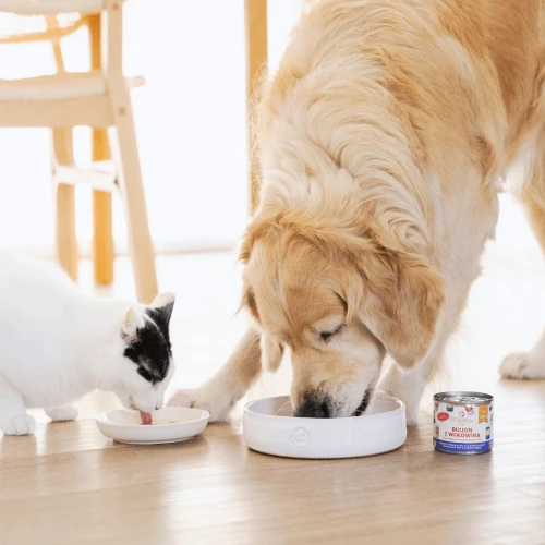 perroland_soups_wolowina1 (1).webp