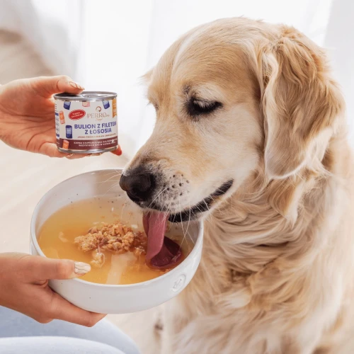 perroland_soups_losos1 (1).webp