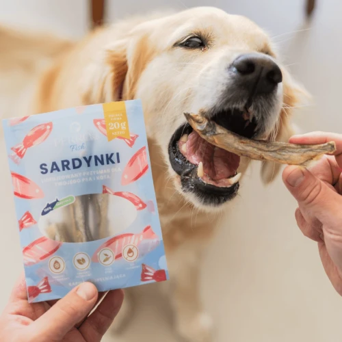 sardynka1 (1).webp