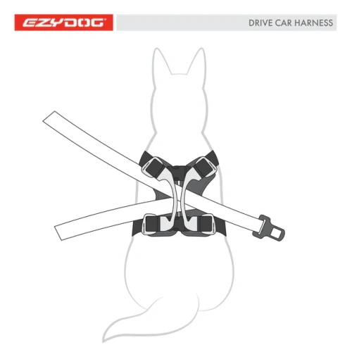 ezydog-drive-car-harness-seatbelt-instruction-diagram_64cafd03-de0f-4429-9a24-3150594c5989.webp