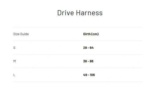 drive.webp