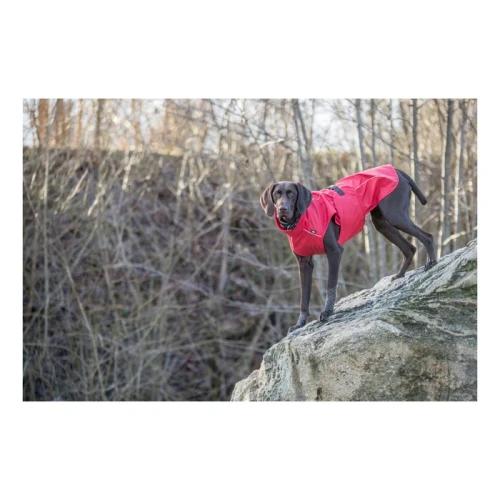 pol_pm_Trixie-Vimy-plaszczyk-przeciwdeszczowy-czerwony-S-40cm-33831_4.webp