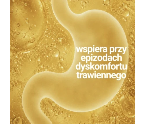 gastro-help-1-tabletka-lagodzi-dyskomfort-trawienny-psow-i-kotow (1).webp
