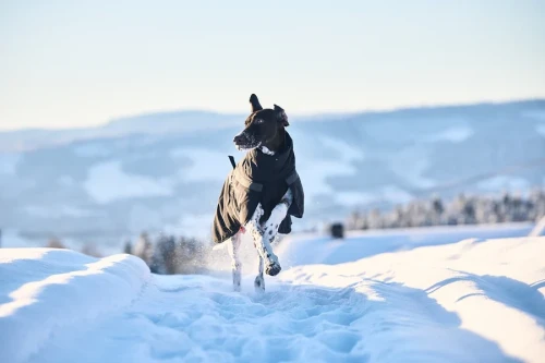 TrekkingInsulatedJacket_Black_3287-3297_06_Lifestyle (1).webp