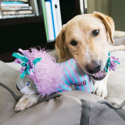 NKV33 (2)-20190307155937-20190307160143-1600x1600.jpeg