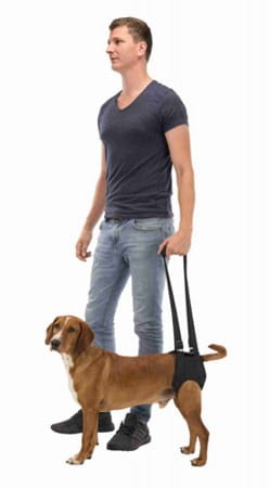 pol_pm_Trixie-Uprzaz-rehabilitacyjna-dla-psa-L-XL-75-85cm-3788_2.jpeg