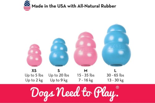 Kong Puppy.jpeg