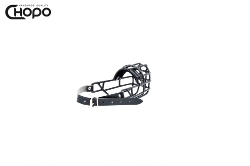 60 chopo szpic pies suka.jpg