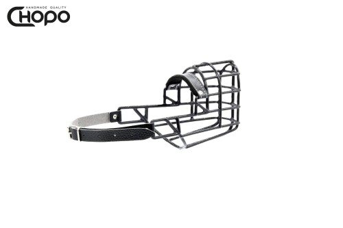 42 dalmatin fena.jpg