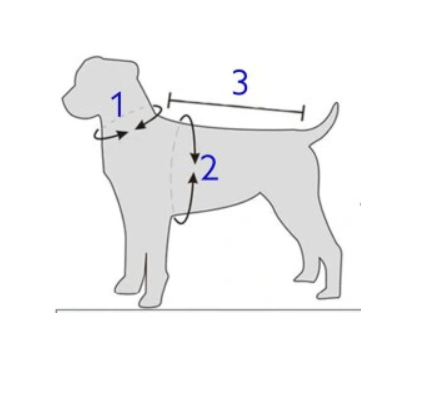 miara (1).png