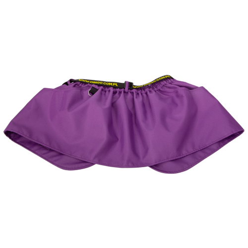 Pas-do-treningu-z-psem (1).jpg