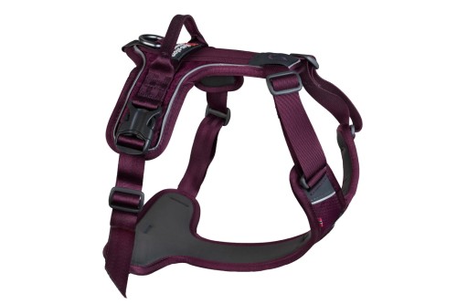 Szelki-dla-psa-Non-stop-dogwear-Ramble-harness.jpg
