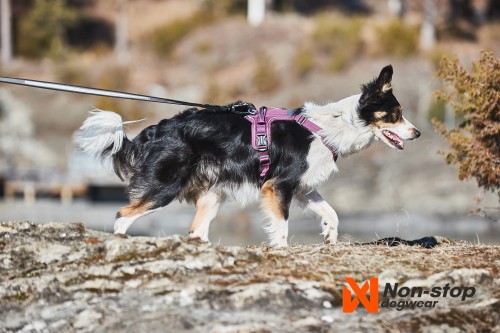 hop-dog-ramble-harness-non-stop-dogwear-03.jpg