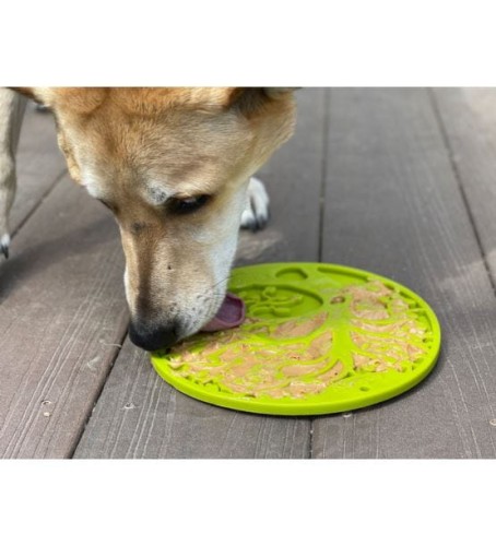 tree-of-life-emat-green (1).jpg