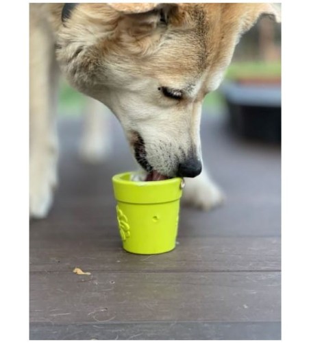 flower-pot-green (1).jpg