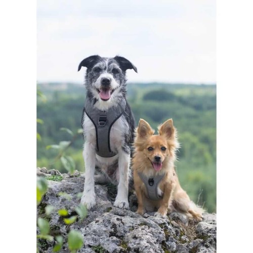 Szelki-guard-easy-walk-dla-psa-Truelove-Lumen-szare (1).jpg