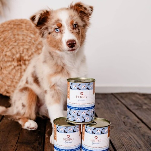 SF1_4567-Editjj (1).jpg