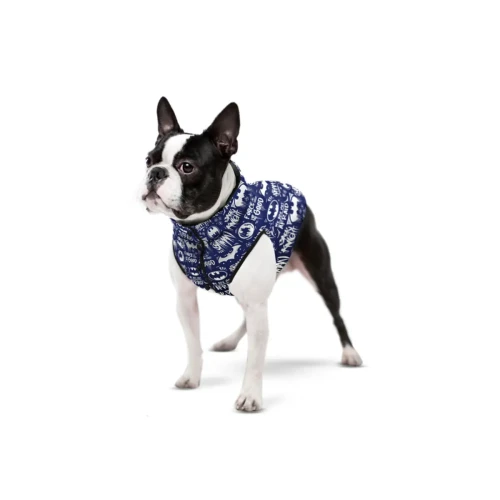 f73e3d664c-1-resize-1200x1200.webp