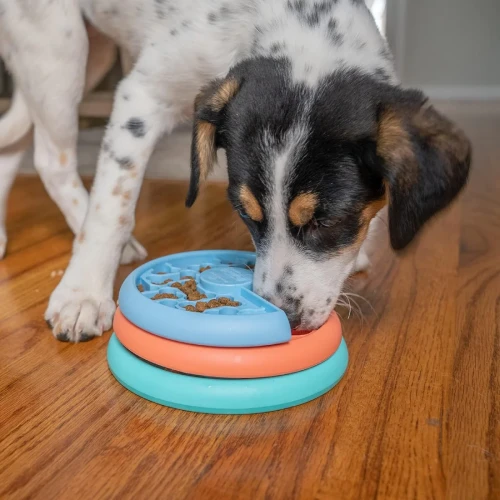 nina-ottosson-puppy-lickin-layers-intelligenzspielzeug-179697.webp