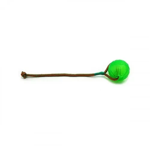 944a4ca8c79-mic-chew-ball-se-snurkou.webp