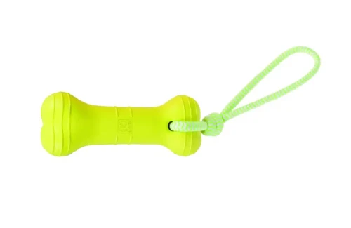 bone-splash-green.webp