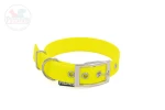 Obroża z plastra miodu z klasyczną klamrą ŻÓŁTY NEON